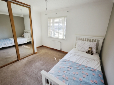 Picture 12